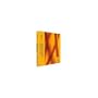 Symantec Endpoint Protection 11.0 [Old Version]
