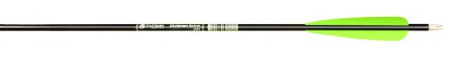 Carbon Express A0401 CX Aluminum Fletched Arrow with 4 Inch Vane Pack of 12 30 Inch