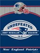 New England Patriots 16-0 Undefeated Season Vertical Banner Flag