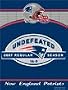 New England Patriots 16-0 Undefeated Season Vertical Banner Flag