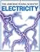 Electricity (The Usborne Young Scientist Series)
