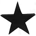Star Silhouette Antenna Topper