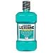 Health & Personal Care : Listerine Antiseptic Mouthwash, Cool Mint - 1 L