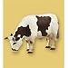 Papo - Grazing Cow