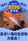 ワイワイおさかなDVD あさい海の生き物大集合!