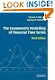 The Econometric Modelling of Financial Time Series