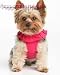 Juicy Dog Couture