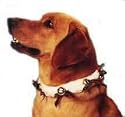 Fur Dog Collar - Medium
