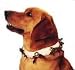 Fur Dog Collar (Small)