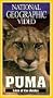 National Geographic's Puma: Lion of the Andes [VHS]