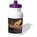 Wild animals - Arctic Fox - Water Bottles