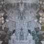 Avalanche and Inundation [Vinyl]
