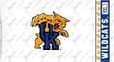 Kentucky Wildcats Locker Room Pillow Case NCAA