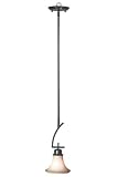 Natoma One-light Mini Pendant