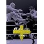 K-1 WORLD MAX 2005 ���E�ꌈ��g�[�i�����g������ [DVD]