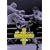 K-1 WORLD MAX 2005 ���E�ꌈ��g�[�i�����g������ [DVD]