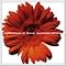 Favorite Modern Power Pop (post-1990)