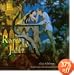 Romeo and Juliet - Shakespearean Film Music