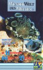 Wunderwelt des Meeres 1 - Die Unterwassergärten von Bonaire