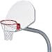 5' Gooseneck System-Nat Brd/Lifetime Rim (EA)