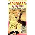 Buy Big Cats of Kalahari [VHS]
