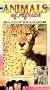 Big Cats of Kalahari [VHS]