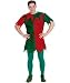 Elf Tunic Adult Costume