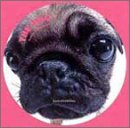 THE DOG パグ