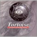 Tortoise: Chinese Feng Shui Music