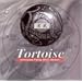Tortoise: Chinese Feng Shui Music