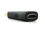 Adattatore da DisplayPort a HDMI Mult...