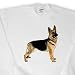 Dogs German Shepherd - German Shepherd - Sweatshirts