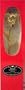 12" Inch 24k Gold Dipped Real Rose in GIFT BOX(w/window) for Christmas,Holiday GIFT