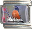 Clearly Charming Michigan State Bird American Robin Italian Charm Bracelet Link