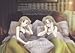 �ե����� ���륿�ʥƥ��� SceneII ���ڥ����ѥå� [DVD]