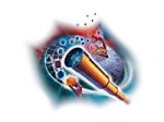 Novell ZENWORKS FOR SERVERS 2 25-USER ( 00662644408194 )