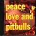 Peace, Love & Pitbulls