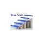 Tupperware Modular Mates 5 Pc Super Oval Pantry Set. Blue Seals