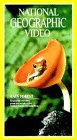 National Geographic Video Classics: Rain Forest [VHS]