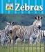 Zebras (Zoo Animals)