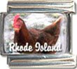 Clearly Charming Rhode Island State Bird Rhode Island Red Chicken Italian Charm Bracelet Link