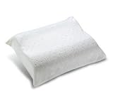 The OBUS FORME Contoured Travel Pillow with Memory Foam (formerly Travel Pillow Plus)