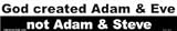 God created Adam & Eve - not Adam & Steve bumper sticker
