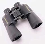 Bushnell