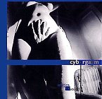 Cyborgasm