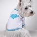 Dog Shirt - Polka Dot Heart Dog T-Shirt - X-Small (XS)