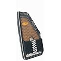 RB1552E 21 chord electric chromaharp