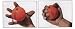 Sports : Metolius Grip Saver Plus
