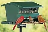 Heritage Farms 7533 Absolute Bird Feeder