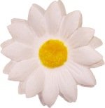 Posies Accessories Small Natural Gerber Daisy Hair Clip (white)